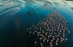 ترابط مخاطر الطبيعة والمناخ: نحو نموذج جديد لإدارة المخاطر العالمية